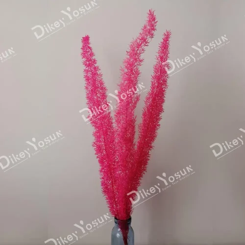 Stabilized Pink Foxtail Plants - Mumyalanmıış Pembe Foxtail Bitkisi
