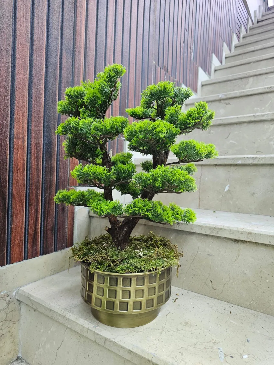 Mermer merdiven yanında hasır saksı içinde yapay bonsai ağacı
