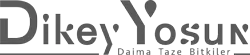 dikey-yosun-siyah-logo Hakkımızda