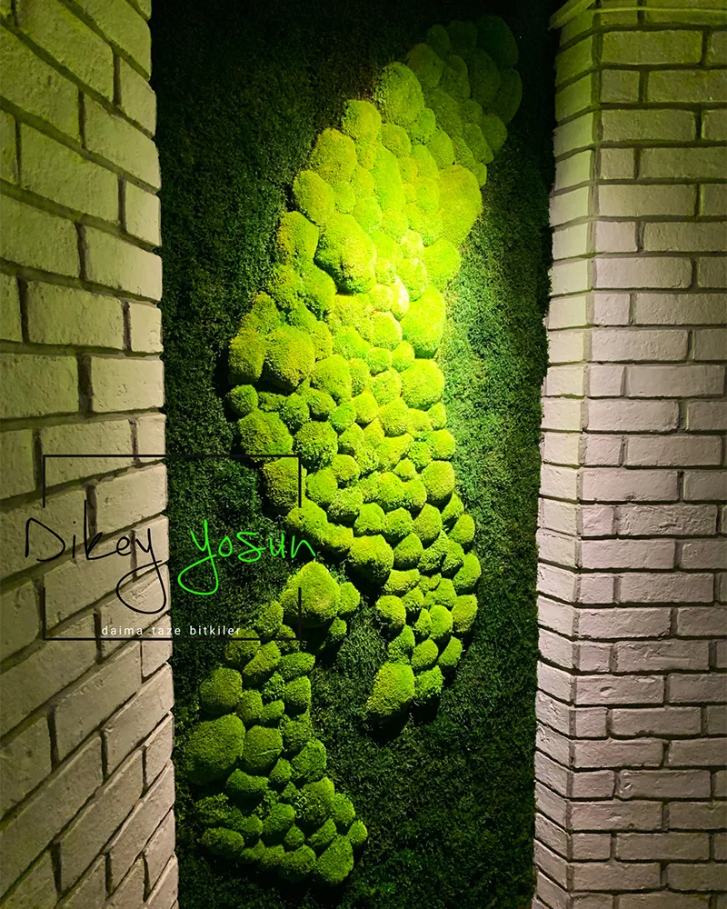yosunduvar 1 - Dikey Yosun