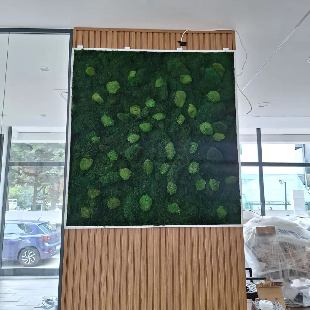 Ataşehir Diş Kliniği projesinde klinik yosun tablo ve duvar uygulaması — görünüm 4