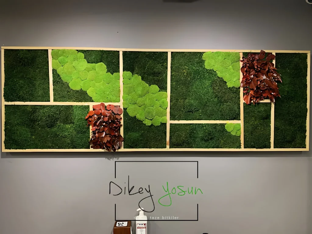 Chicky Danny projesinde dekoratif yosun tablo — görünüm 4