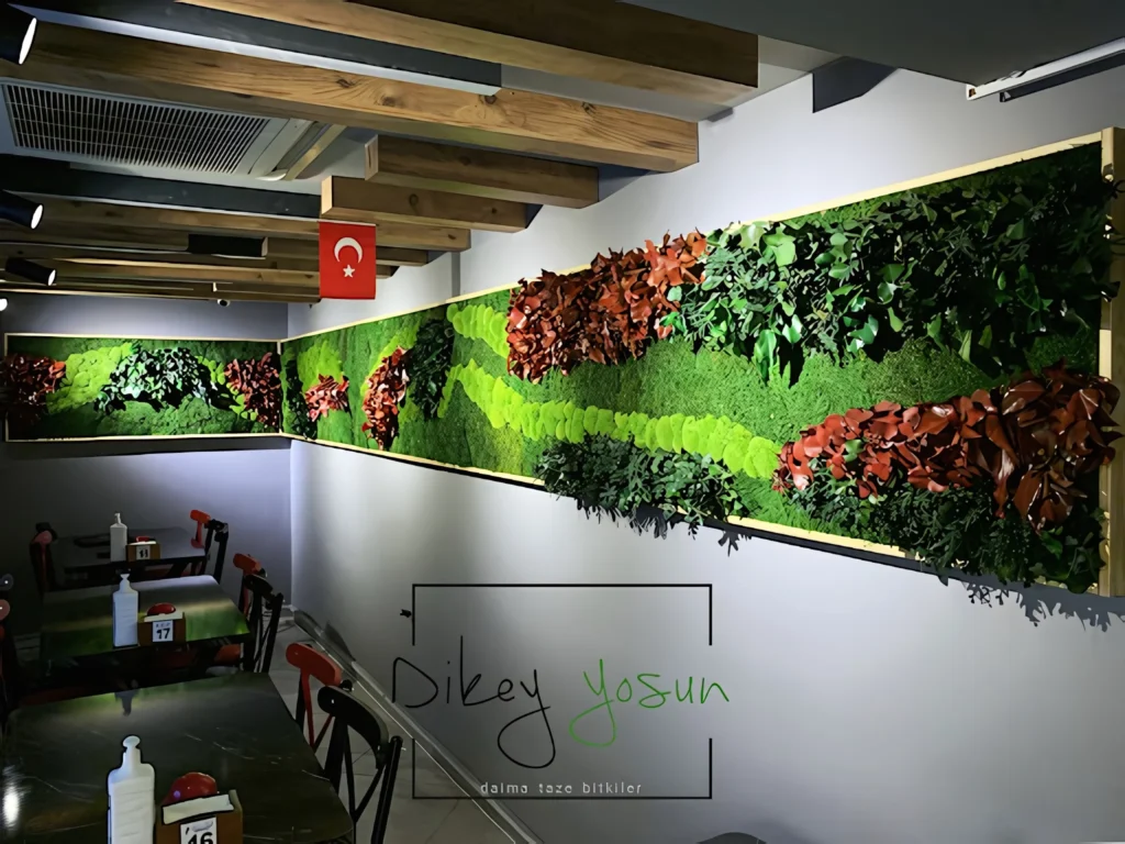 Chicky Danny projesinde çerçeveli yosun sanat uygulaması - görünüm 1