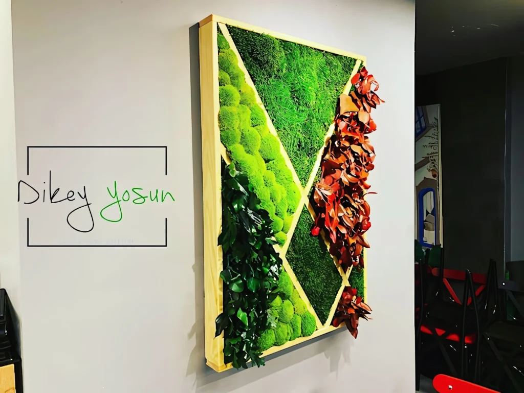 Chicky Danny projesinde çerçeveli yosun sanat uygulaması - görünüm 8