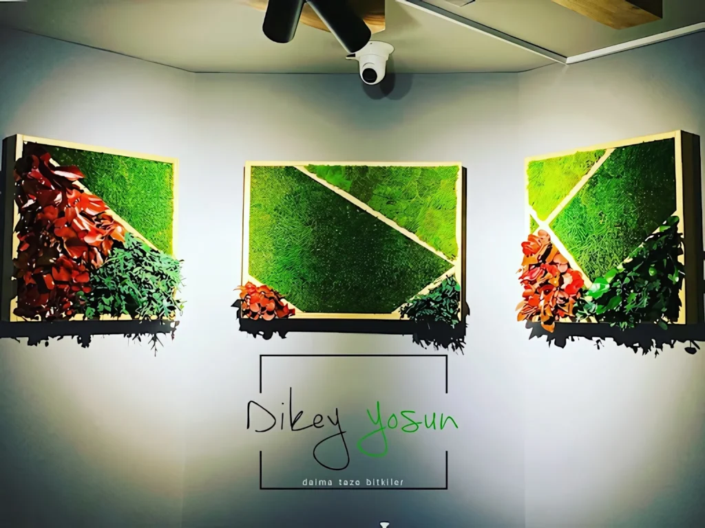 Chicky Danny projesinde çerçeveli yosun sanat uygulaması - görünüm 14