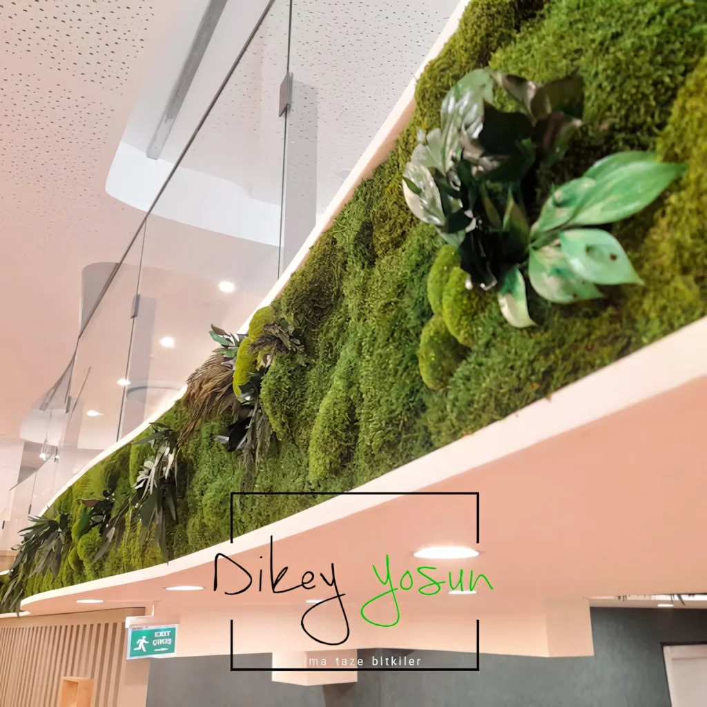 Days Hotel by Wyndham projesinde uzun iç mekân yeşil duvarı — görünüm 4