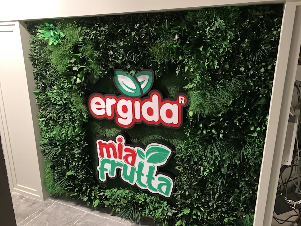 Ergıda Antalya projesinde gerçek iç mekân yeşil uygulaması — görünüm 2