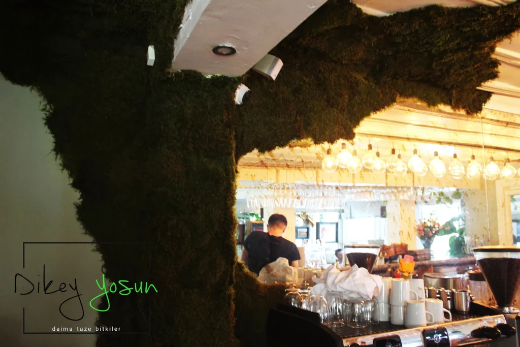 Gazebo Restaurant projesinde gerçek iç mekân yeşil uygulaması — görünüm 1
