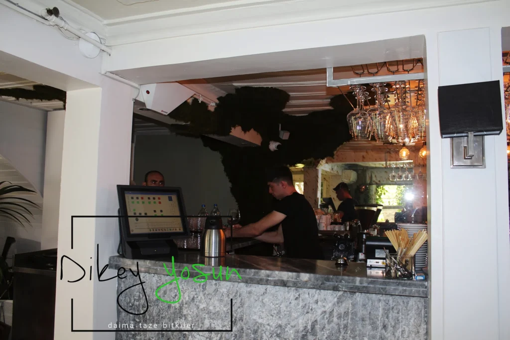 Gazebo Restaurant projesinde gerçek iç mekân yeşil uygulaması — görünüm 3