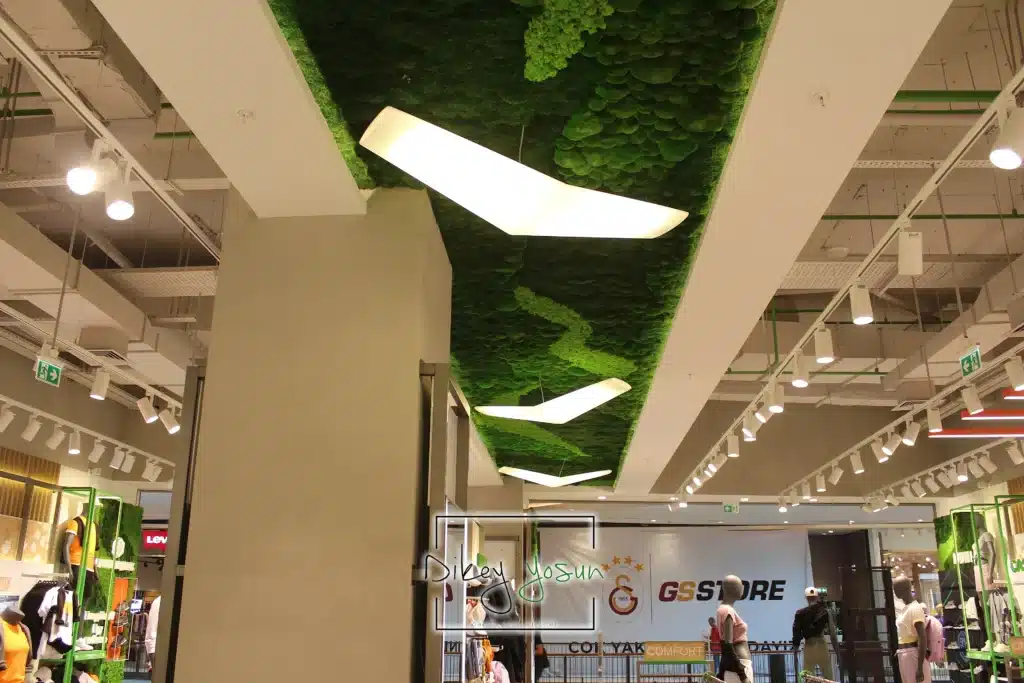 Lumberjack mağazasında tavana uygulanmış desenli yosun paneli