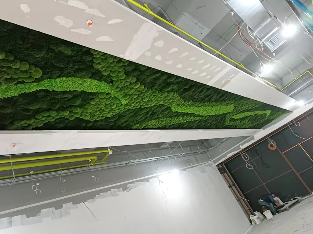 Lumberjack mağazasında geniş yosun tavan panelinin genel görünümü