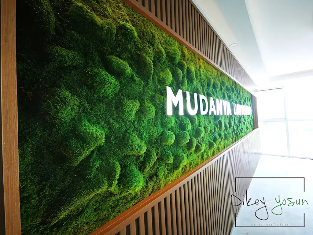 Mudanya Üniversitesi projesinde markalı yosun duvar — görünüm 3
